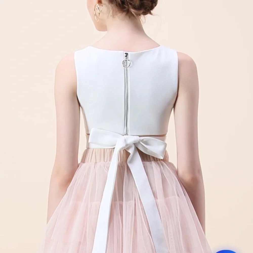 CHICWISH NWT Crop Top - Bowknot - Picture 8 of 10